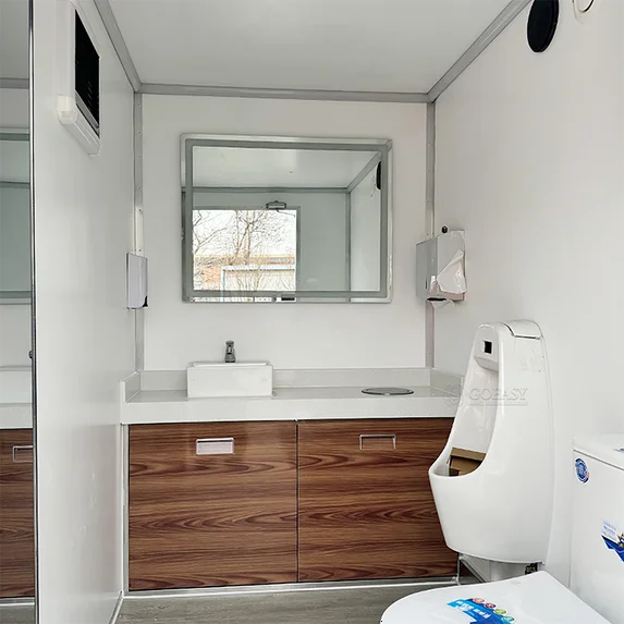 Luxury Restroom Interior | Vanity Mirror | Wood Cabinet Finish | Modern Design
